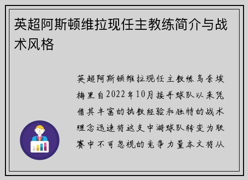英超阿斯顿维拉现任主教练简介与战术风格